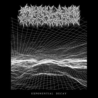 PERILAXE OCCLUSION - Exponential Decay MLP